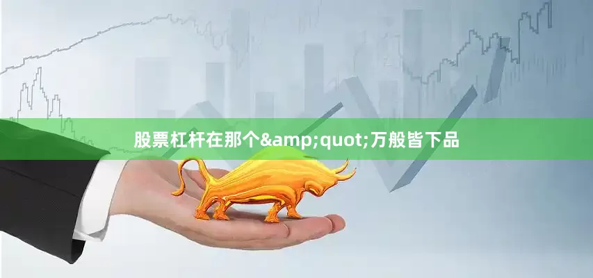 股票杠杆在那个&quot;万般皆下品